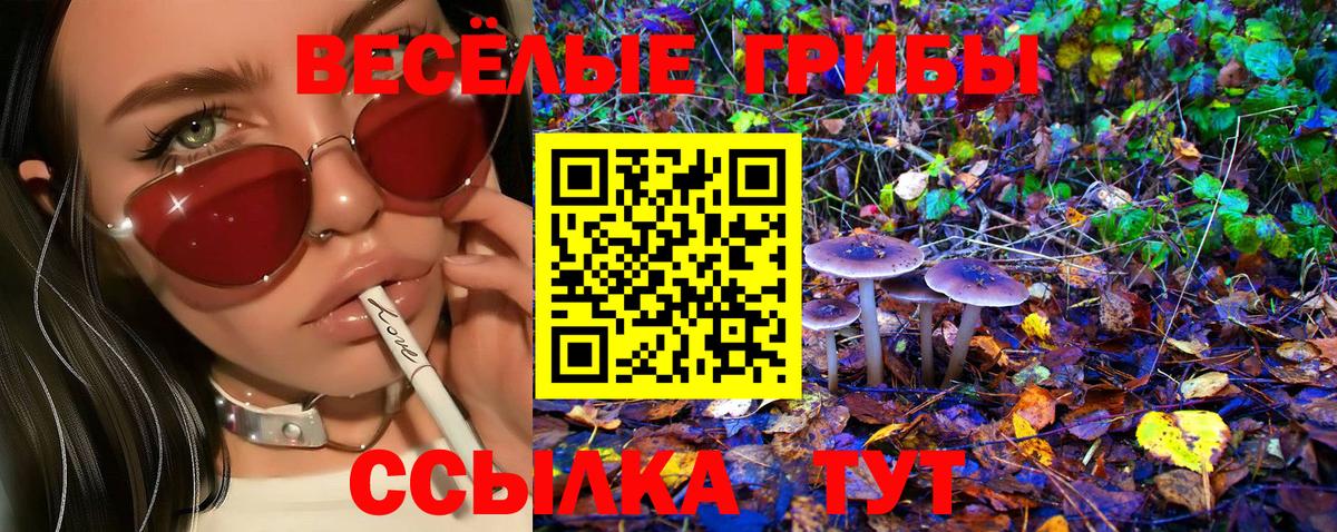 Псилоцибиновые грибы мухоморы Иркутск