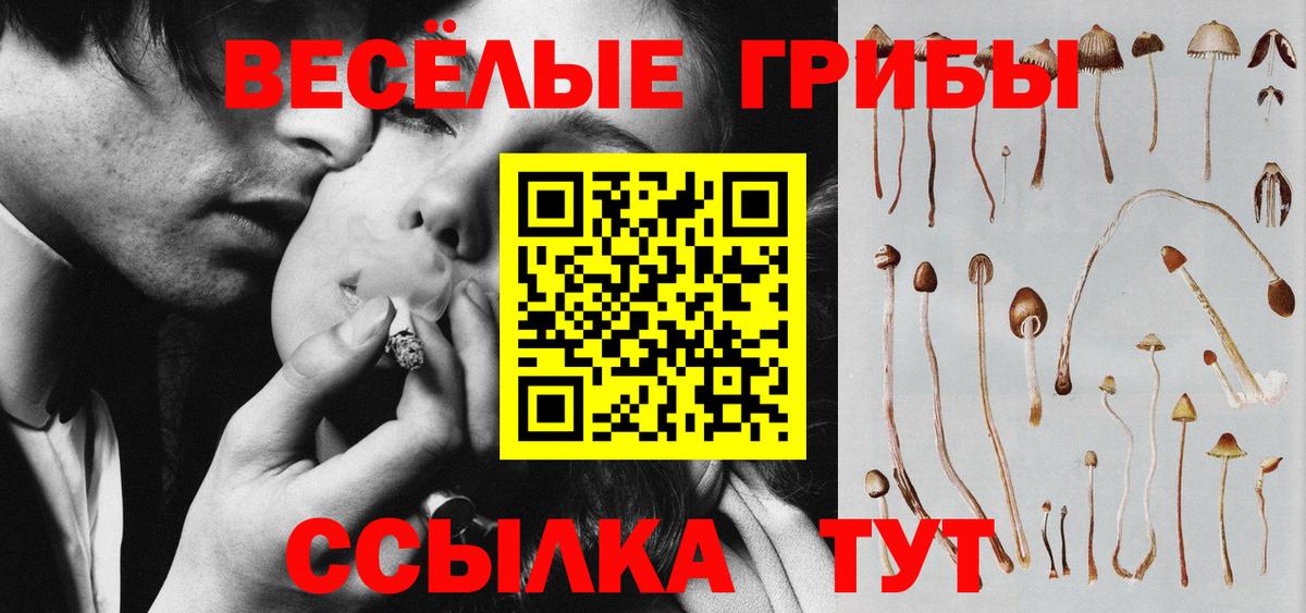 продажа наркотиков  Вход с VPN  Псилоцибиновые грибы MAGIC MUSHROOMS  Иркутск  Псилоцибиновые грибы мухоморы 